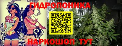 шишки Малгобек
